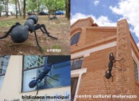 /album/alzira-urbanart/formiga-gigante-jpg/